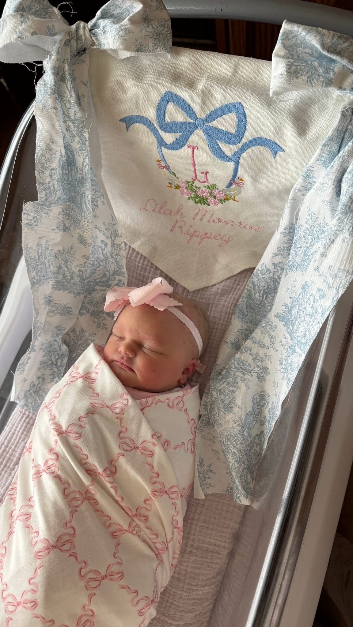 Baby Banner
